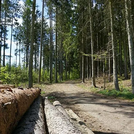 Seepark Bei Vera Mit Sauna キルヒハイム